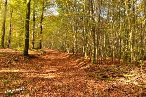 Varennes en argonne gr14 4