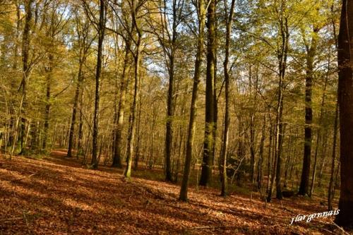 Varennes en argonne gr14 5