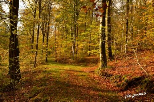 Varennes en argonne gr14 6