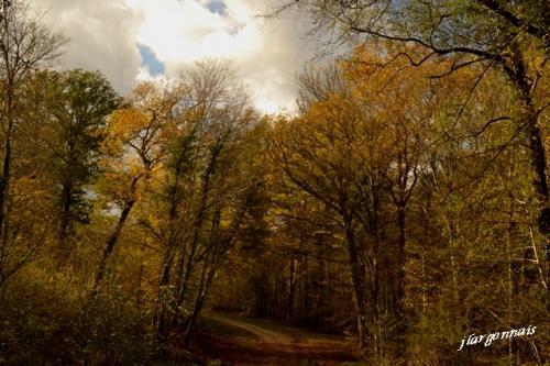 Varennes en argonne gr14 8